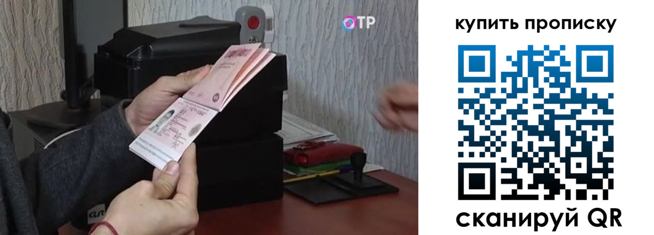 прописка гарантия в Волгоградской области